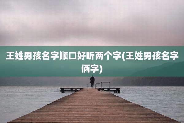 王姓男孩名字顺口好听两个字(王姓男孩名字俩字)