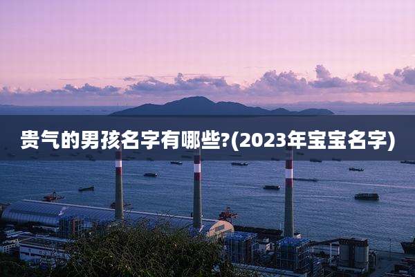 贵气的男孩名字有哪些?(2023年宝宝名字)