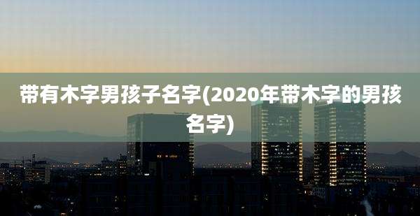 带有木字男孩子名字(2020年带木字的男孩名字)