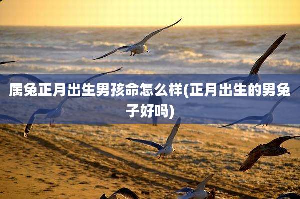 属兔正月出生男孩命怎么样(正月出生的男兔子好吗)
