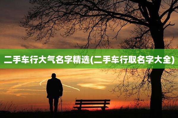 二手车行大气名字精选(二手车行取名字大全)