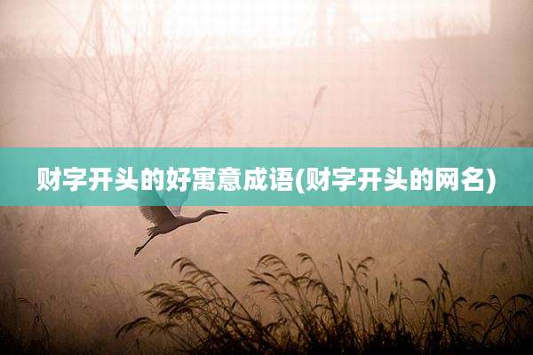 财字开头的好寓意成语(财字开头的网名)