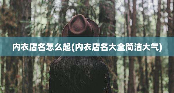 内衣店名怎么起(内衣店名大全简洁大气)