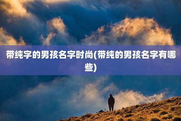 带纯字的男孩名字时尚(带纯的男孩名字有哪些)