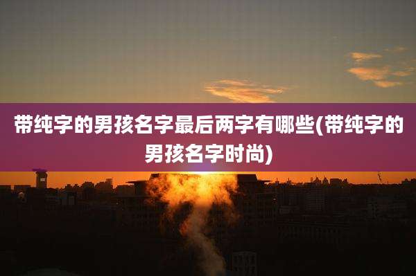 带纯字的男孩名字最后两字有哪些(带纯字的男孩名字时尚)