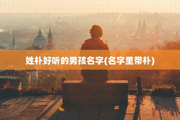 姓朴好听的男孩名字(名字里带朴)