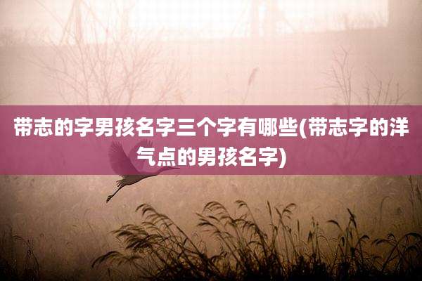 带志的字男孩名字三个字有哪些(带志字的洋气点的男孩名字)