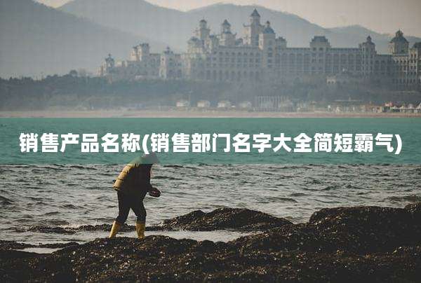 销售产品名称(销售部门名字大全简短霸气)