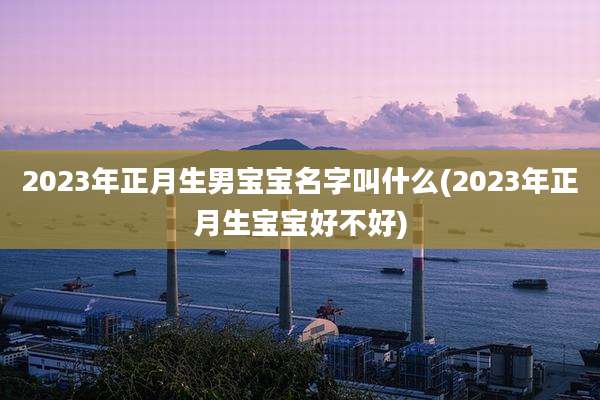 2023年正月生男宝宝名字叫什么(2023年正月生宝宝好不好)