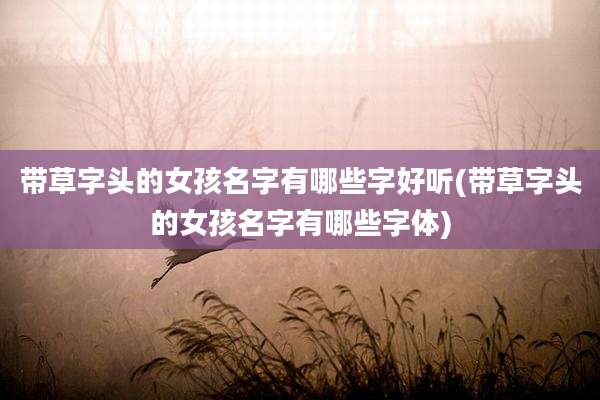 带草字头的女孩名字有哪些字好听(带草字头的女孩名字有哪些字体)