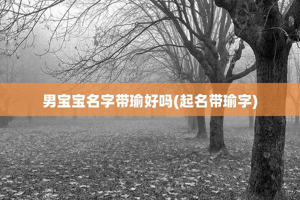 男宝宝名字带瑜好吗(起名带瑜字)