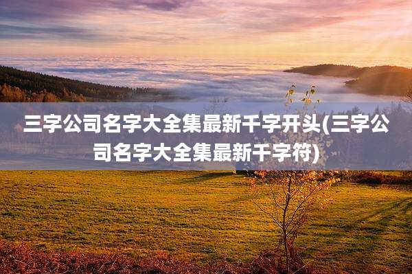 三字公司名字大全集最新千字开头(三字公司名字大全集最新千字符)