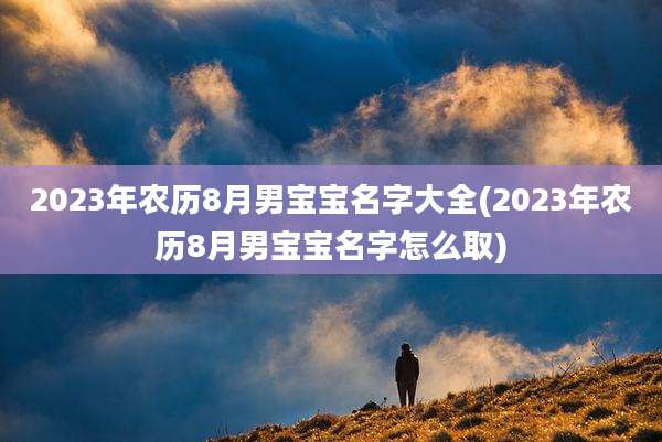 2023年农历8月男宝宝名字大全(2023年农历8月男宝宝名字怎么取)