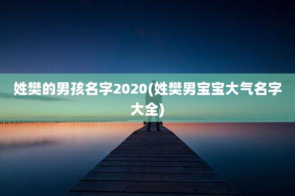 姓樊的男孩名字2020(姓樊男宝宝大气名字大全)