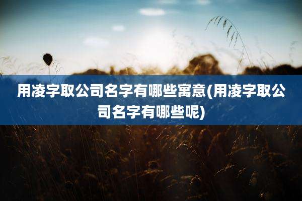 用凌字取公司名字有哪些寓意(用凌字取公司名字有哪些呢)
