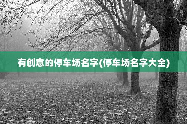 有创意的停车场名字(停车场名字大全)
