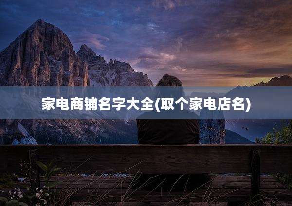 家电商铺名字大全(取个家电店名)