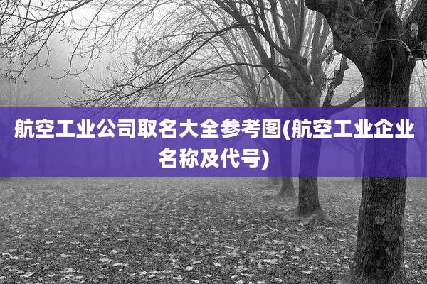 航空工业公司取名大全参考图(航空工业企业名称及代号)