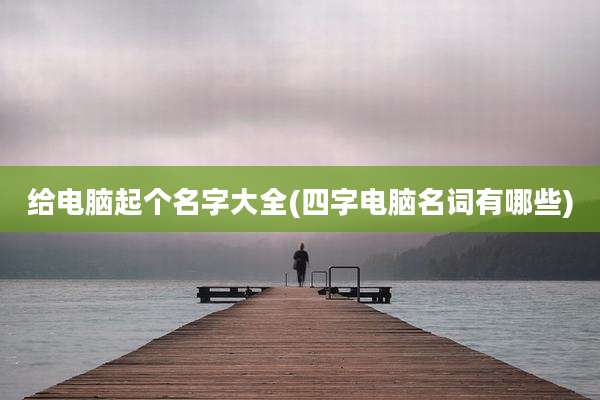 给电脑起个名字大全(四字电脑名词有哪些)