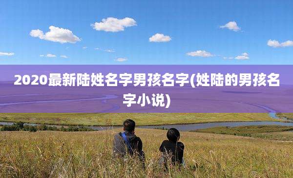 2020最新陆姓名字男孩名字(姓陆的男孩名字小说)