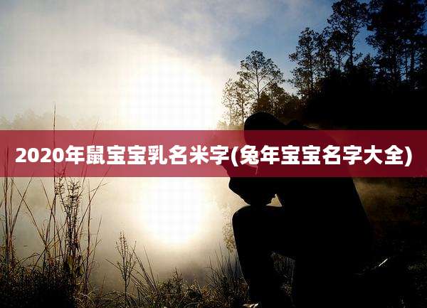2020年鼠宝宝乳名米字(兔年宝宝名字大全)