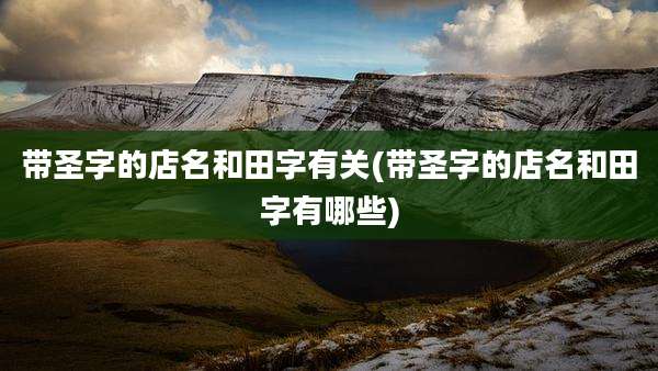 带圣字的店名和田字有关(带圣字的店名和田字有哪些)