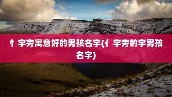忄字旁寓意好的男孩名字(亻字旁的字男孩名字)