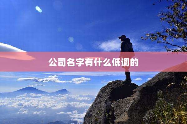 公司名字有什么低调的