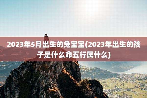 2023年5月出生的兔宝宝(2023年出生的孩子是什么命五行属什么)