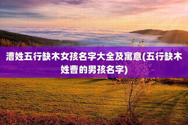 漕姓五行缺木女孩名字大全及寓意(五行缺木姓曹的男孩名字)
