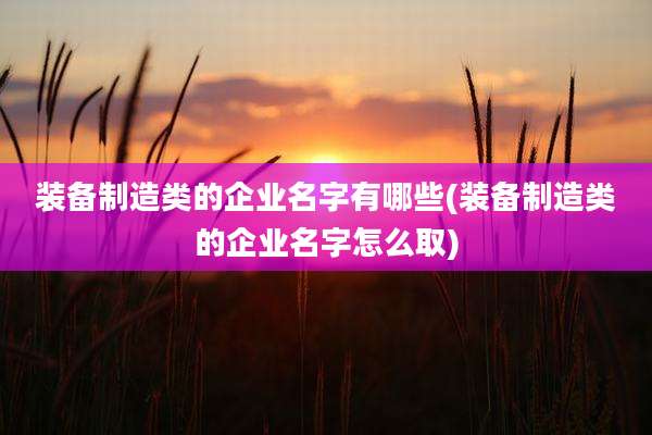 装备制造类的企业名字有哪些(装备制造类的企业名字怎么取)