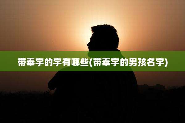 带奉字的字有哪些(带奉字的男孩名字)