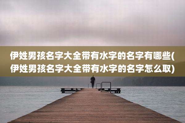 伊姓男孩名字大全带有水字的名字有哪些(伊姓男孩名字大全带有水字的名字怎么取)