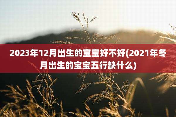 2023年12月出生的宝宝好不好(2021年冬月出生的宝宝五行缺什么)