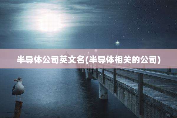 半导体公司英文名(半导体相关的公司)