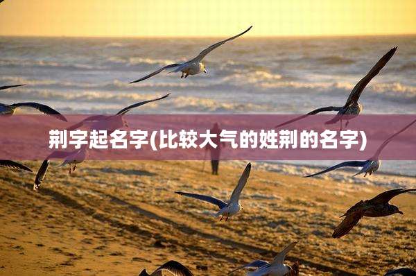 荆字起名字(比较大气的姓荆的名字)