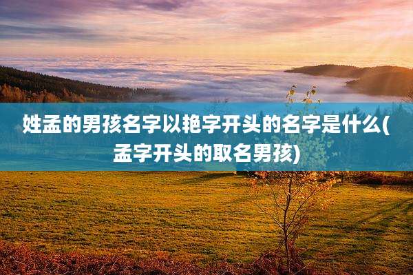 姓孟的男孩名字以艳字开头的名字是什么(孟字开头的取名男孩)
