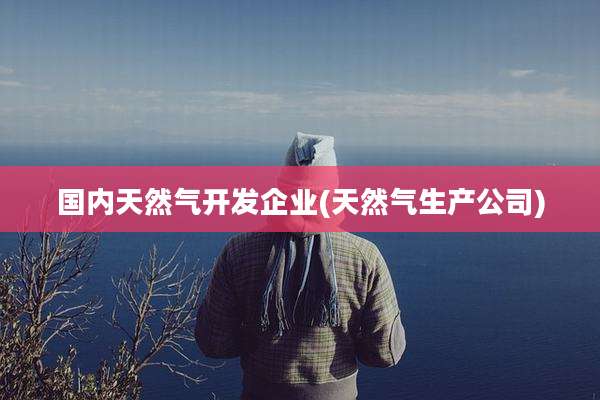 国内天然气开发企业(天然气生产公司)