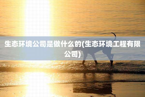生态环境公司是做什么的(生态环境工程有限公司)