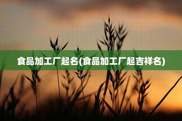 食品加工厂起名(食品加工厂起吉祥名)