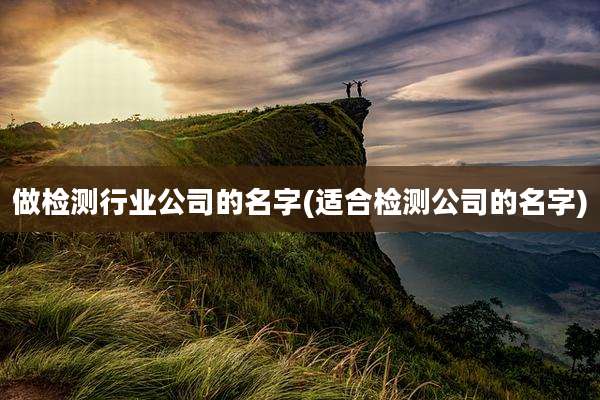 做检测行业公司的名字(适合检测公司的名字)