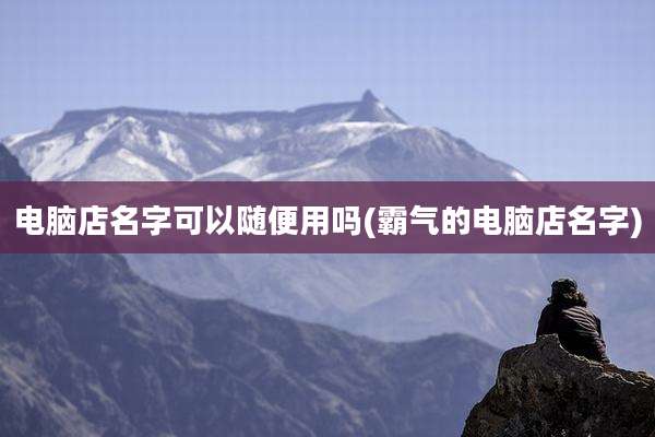 电脑店名字可以随便用吗(霸气的电脑店名字)