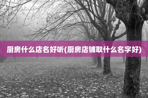 厨房什么店名好听(厨房店铺取什么名字好)