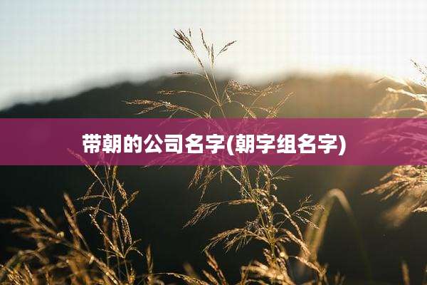 带朝的公司名字(朝字组名字)