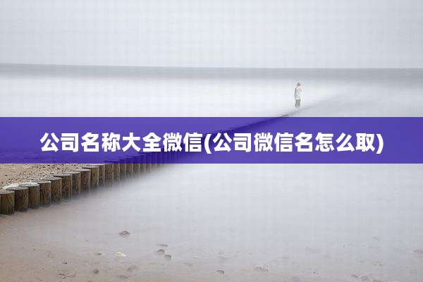 公司名称大全微信(公司微信名怎么取)
