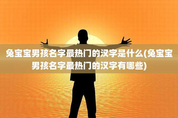 兔宝宝男孩名字最热门的汉字是什么(兔宝宝男孩名字最热门的汉字有哪些)