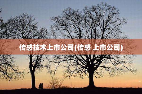 传感技术上市公司(传感 上市公司)