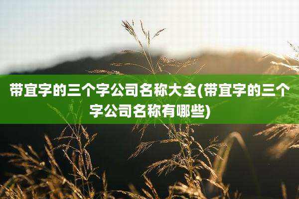 带宜字的三个字公司名称大全(带宜字的三个字公司名称有哪些)