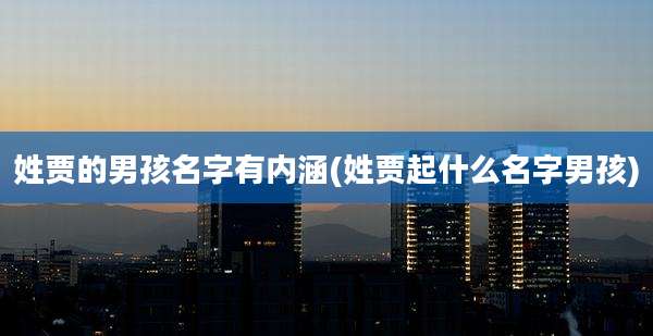 姓贾的男孩名字有内涵(姓贾起什么名字男孩)