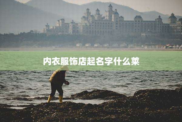 内衣服饰店起名字什么莱